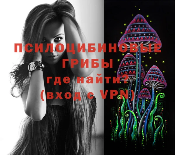 марки lsd Туринск