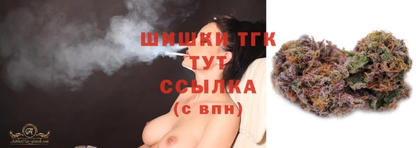трава Тында