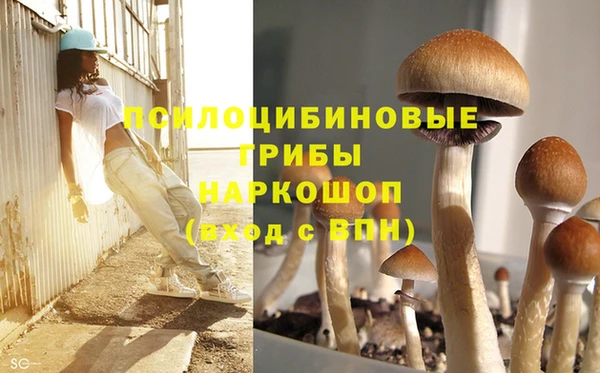 mdpv Волоколамск