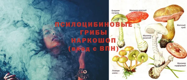 марки lsd Туринск