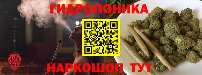 гидра Гусиноозёрск