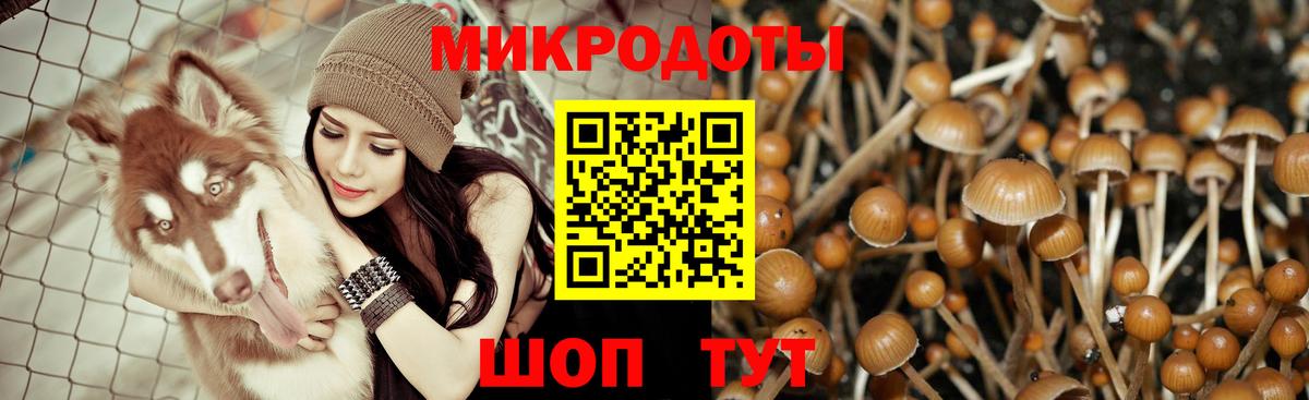 Галлюциногенные грибы Magic Shrooms Медногорск