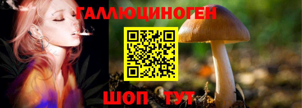 Псилоцибиновые грибы мицелий  Вход с VPN  Медногорск  Псилоцибиновые грибы мухоморы 